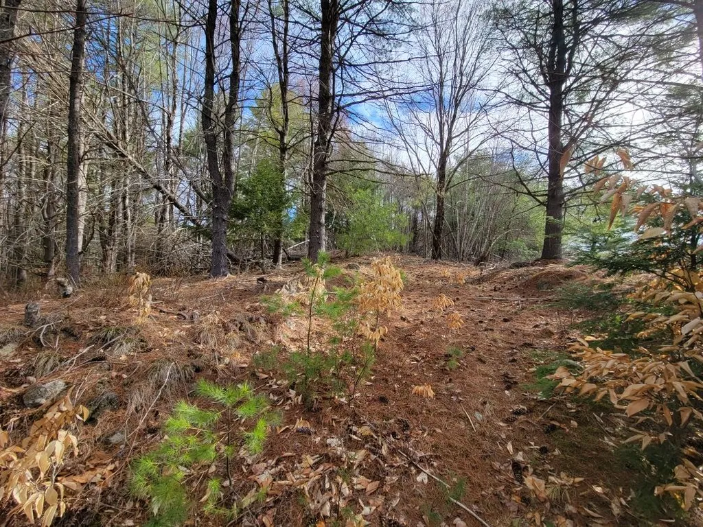 Lot 5 Karacull Lane Pittsfield NH 03263