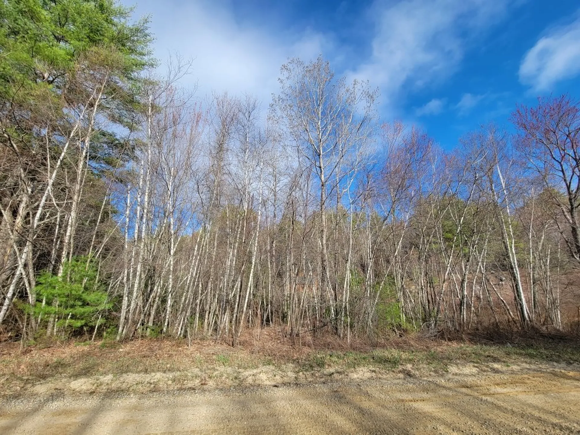 Lot 5 Karacull Lane Pittsfield NH 03263