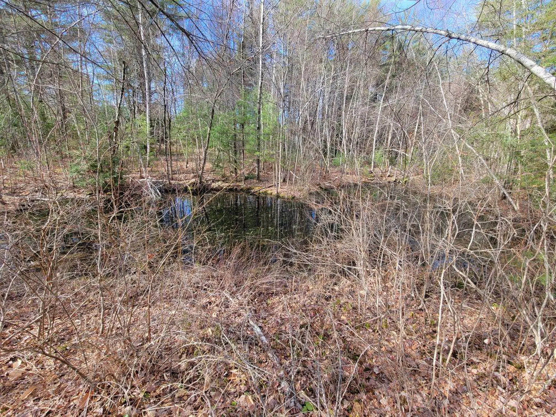 Lot 5 Karacull Lane Pittsfield NH 03263