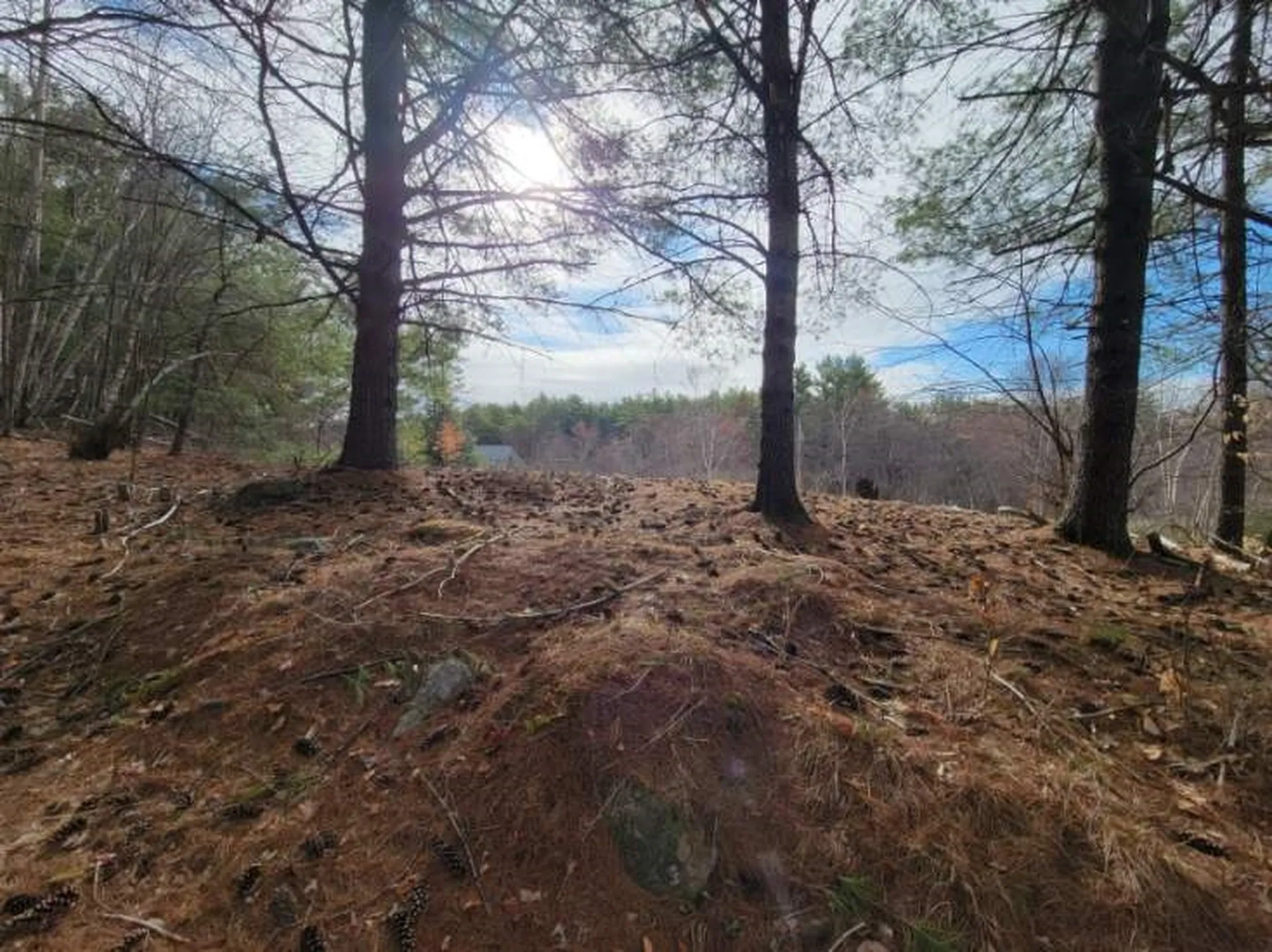 Lot 5 Karacull Lane Pittsfield NH 03263