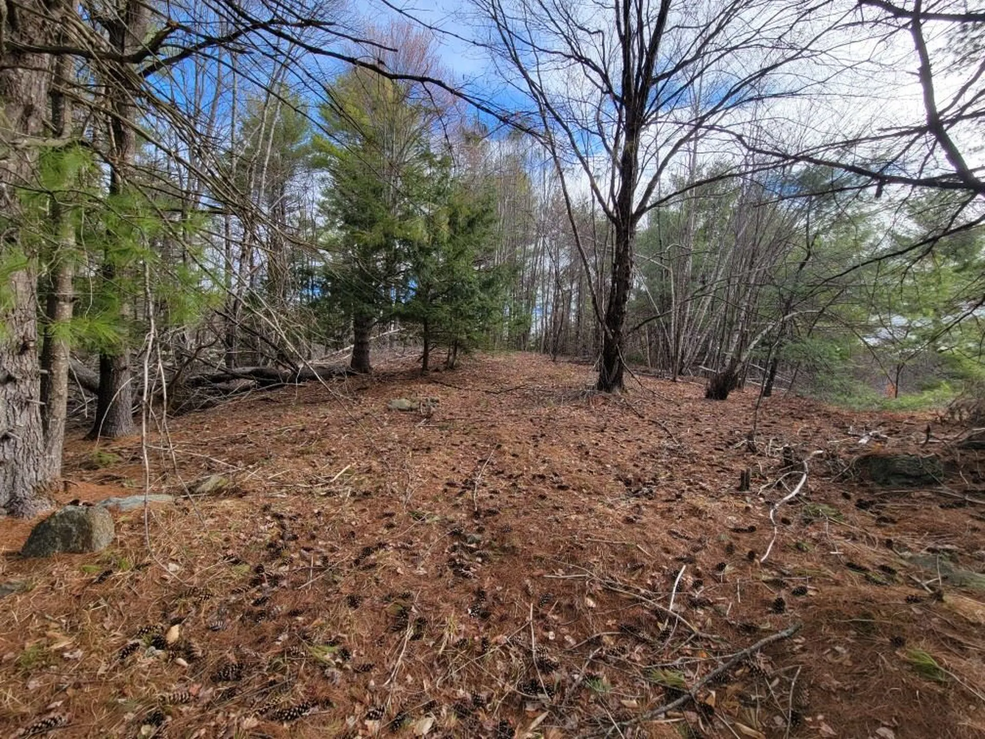 Lot 5 Karacull Lane Pittsfield NH 03263