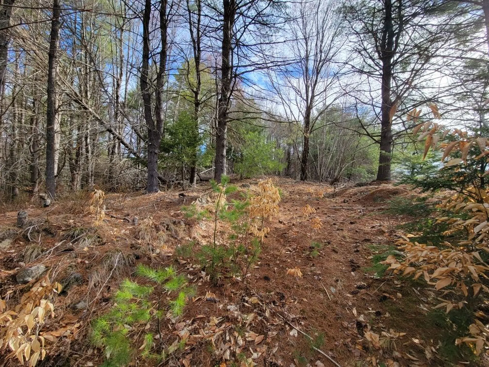 Lot 5 Karacull Lane Pittsfield NH 03263
