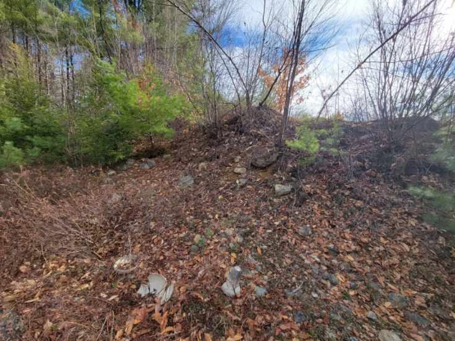 Lot 5 Karacull Lane Pittsfield NH 03263