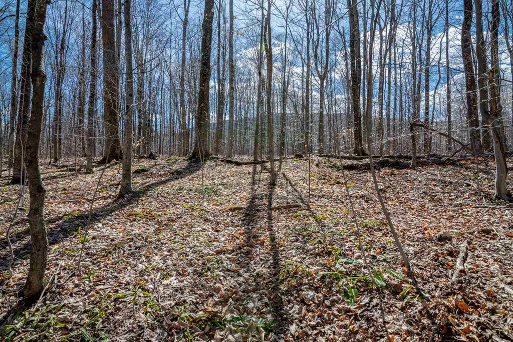 0 Sweet Hollow Road Manchester VT 05255