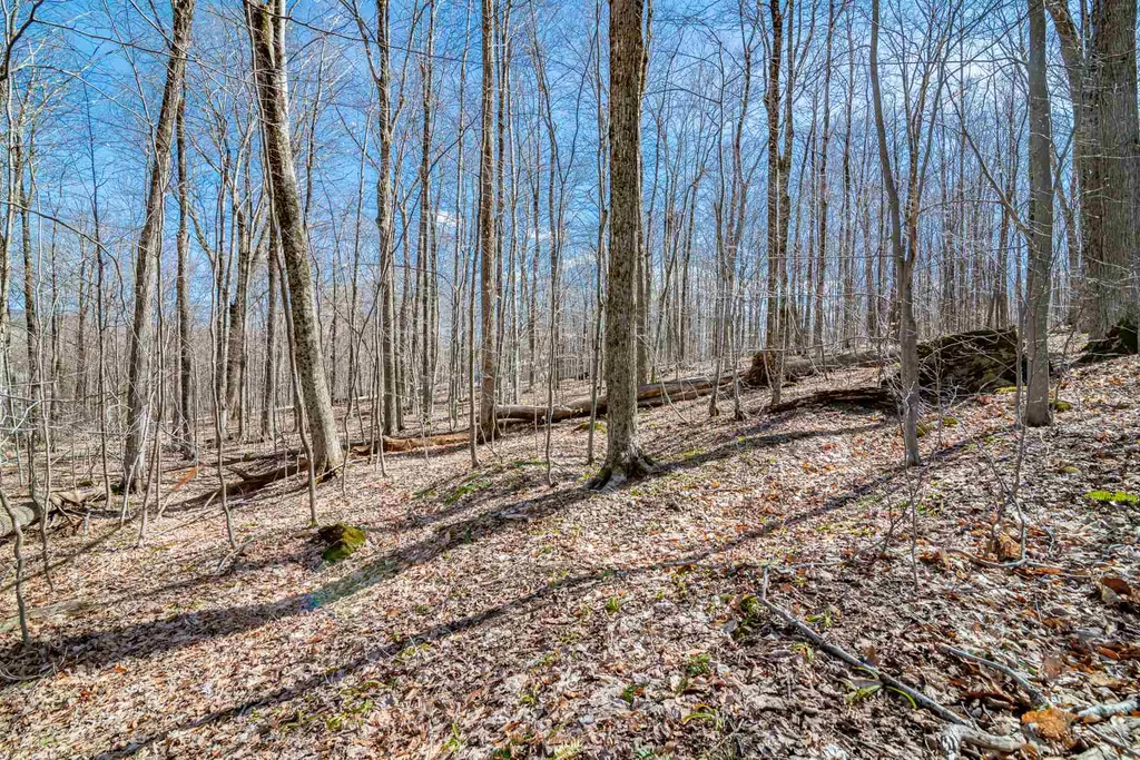 0 Sweet Hollow Road Manchester VT 05255
