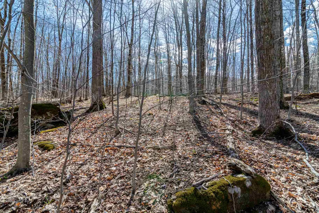 0 Sweet Hollow Road Manchester VT 05255