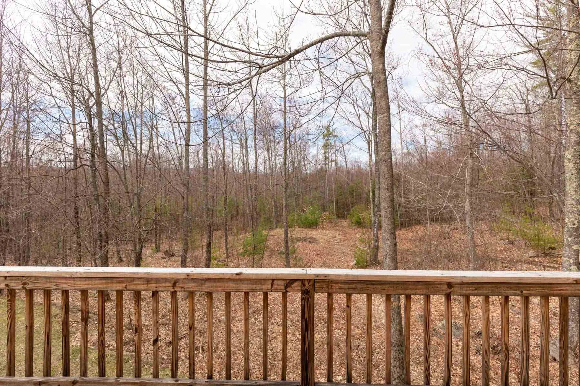 73 Ham Road New Durham NH 03855