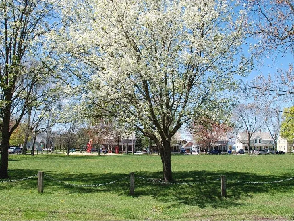 61 Harrison Avenue Burlington VT 05401