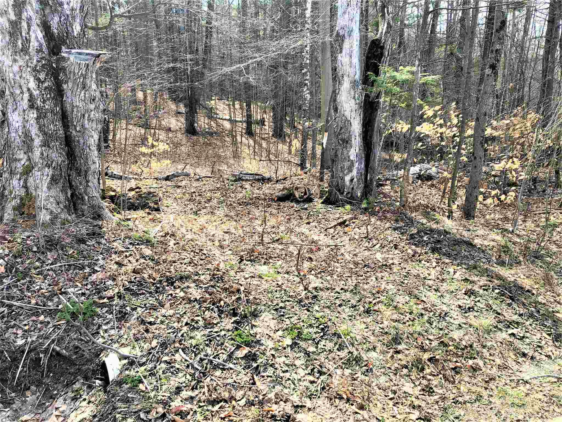 0 Cemetery Street Brookfield VT 05036