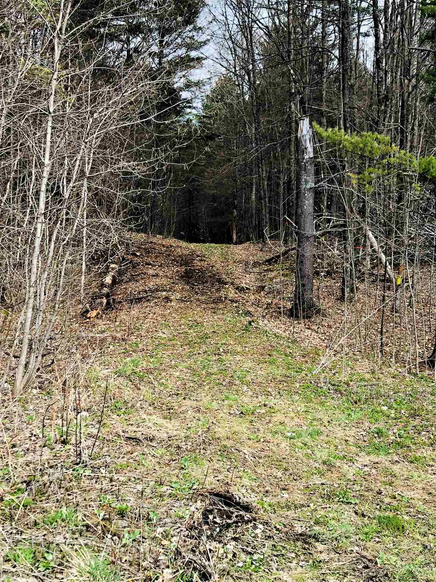 0 Cemetery Street Brookfield VT 05036