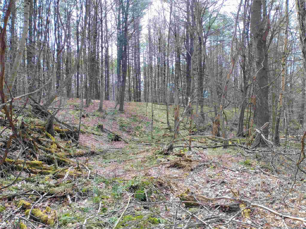 252 Town Line Road Putney VT 05346