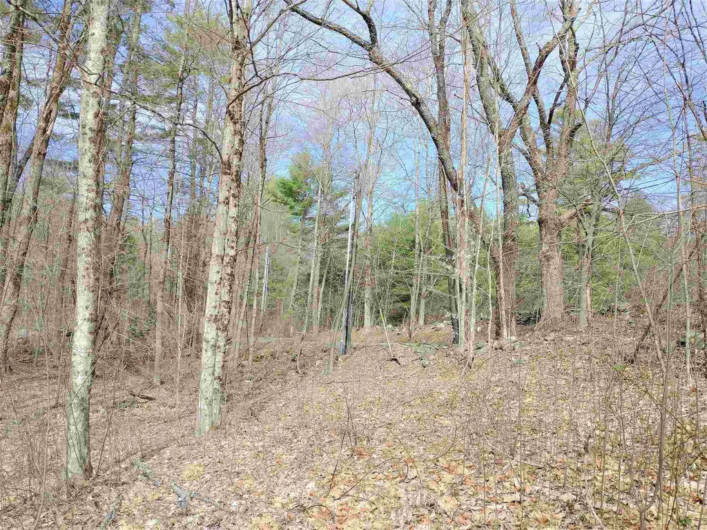 252 Town Line Road Putney VT 05346