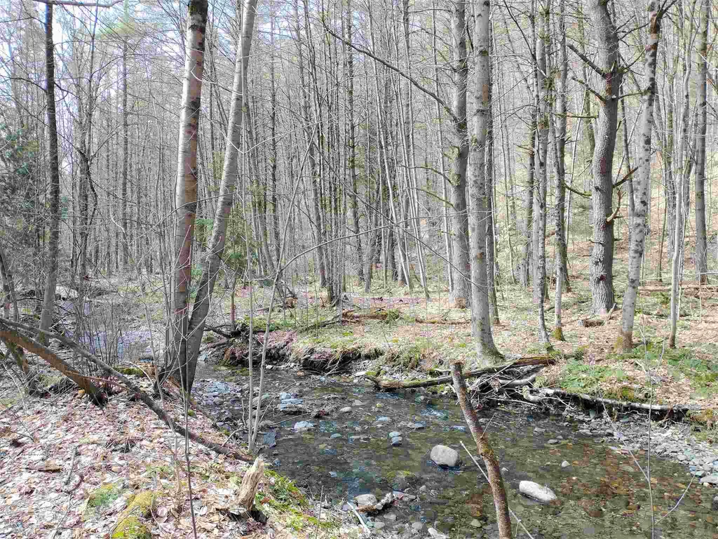 252 Town Line Road Putney VT 05346