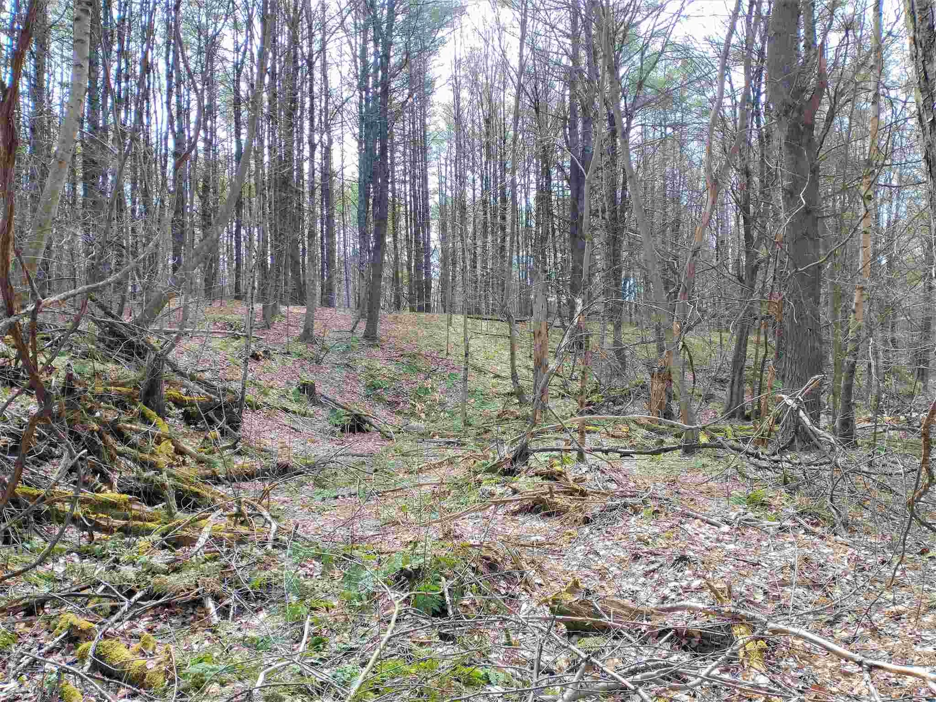 252 Town Line Road Putney VT 05346