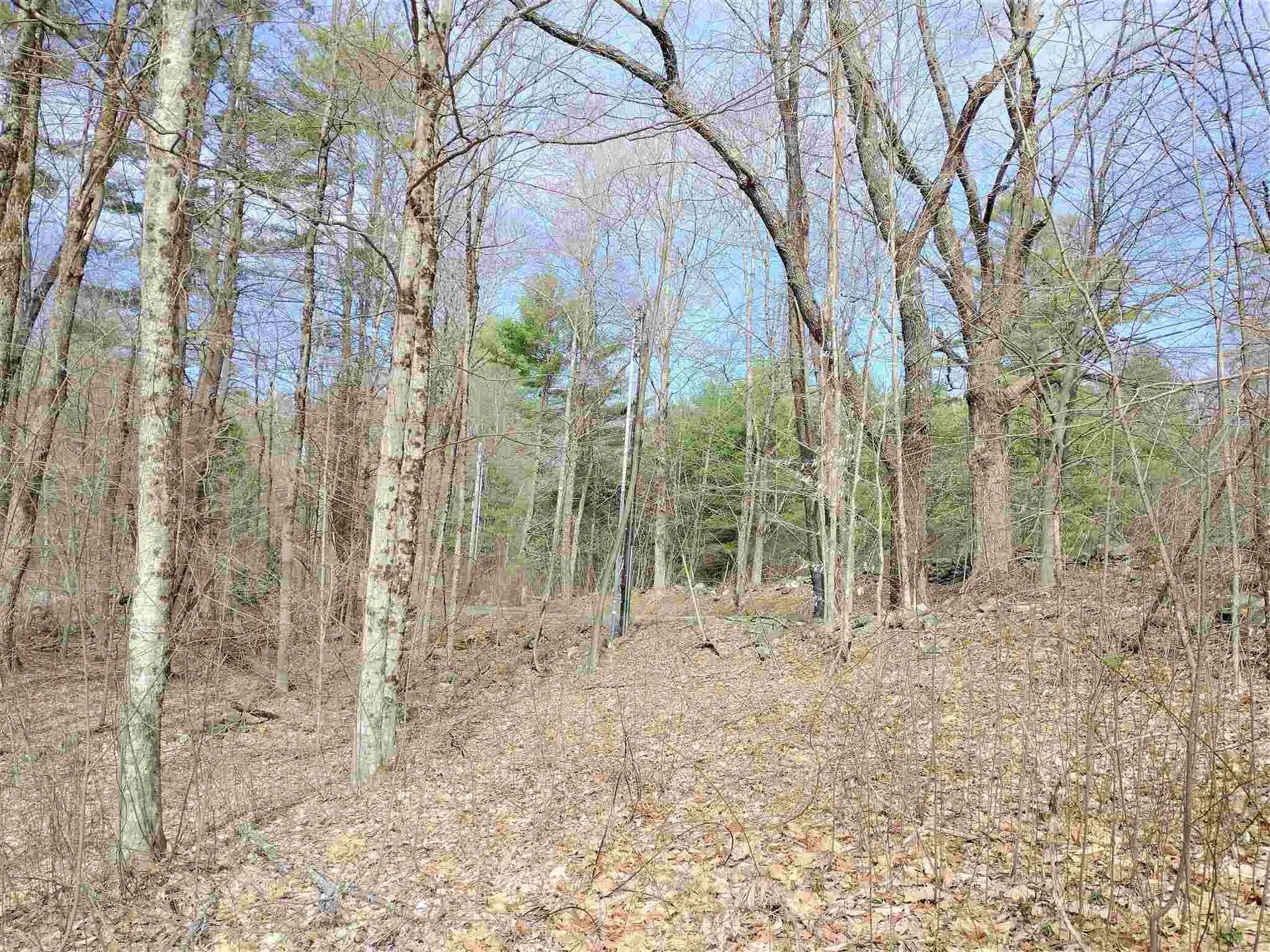 252 Town Line Road Putney VT 05346