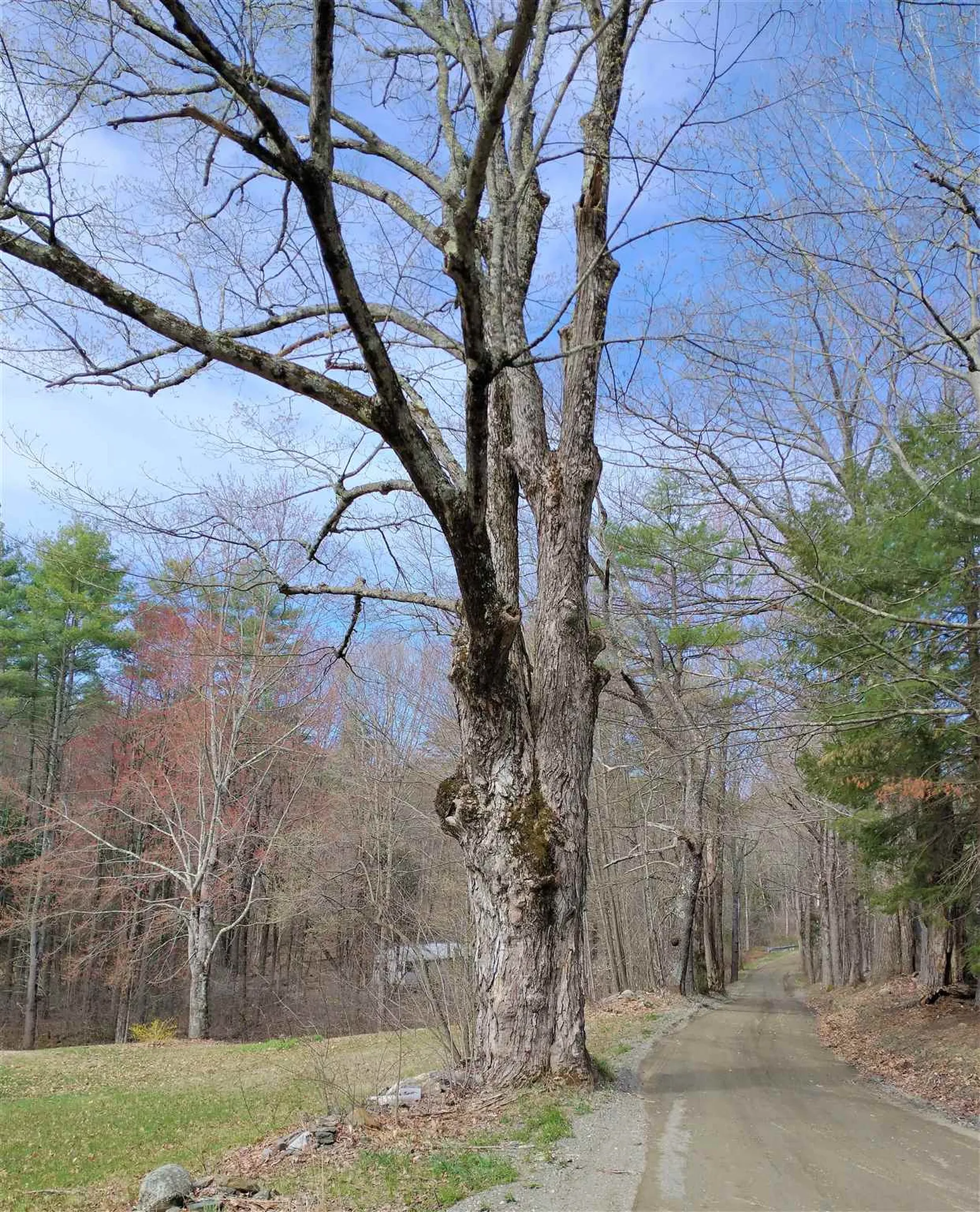 252 Town Line Road Putney VT 05346