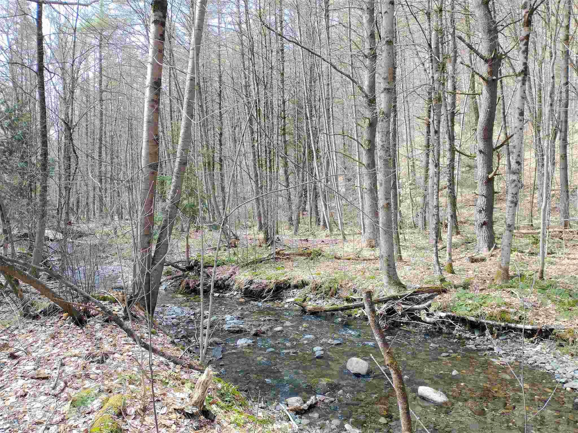 252 Town Line Road Putney VT 05346
