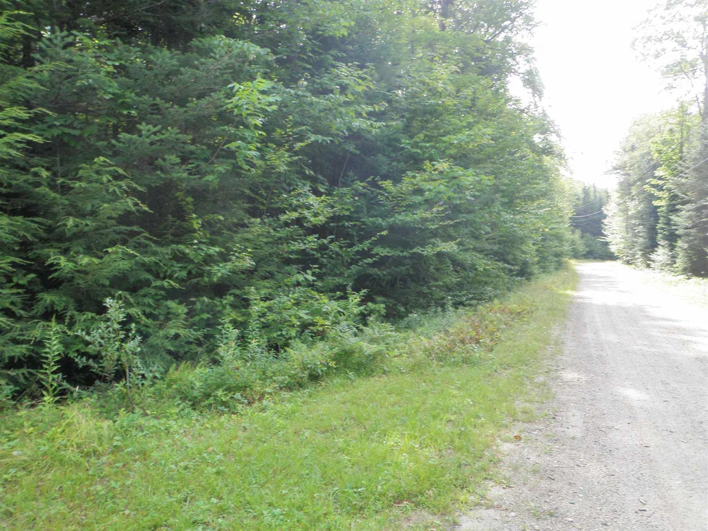 360 Dorman Road Andover VT 05143