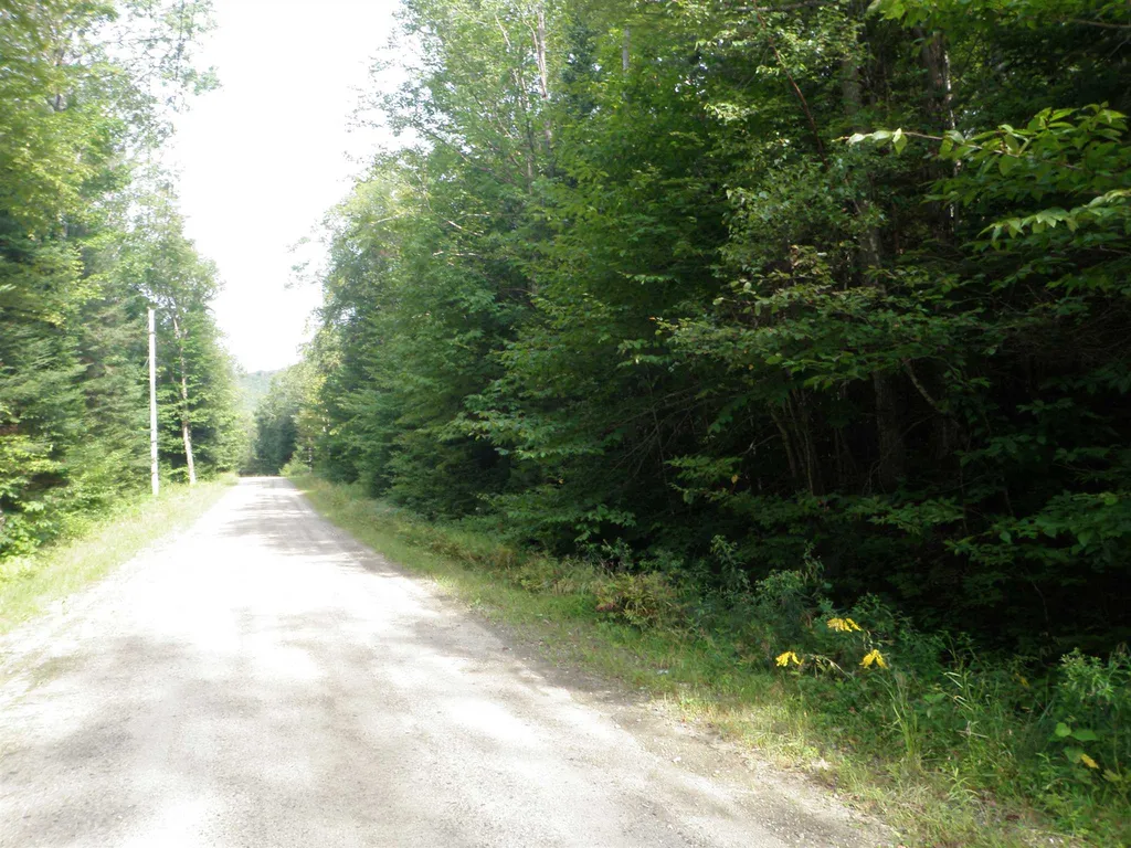 360 Dorman Road Andover VT 05143