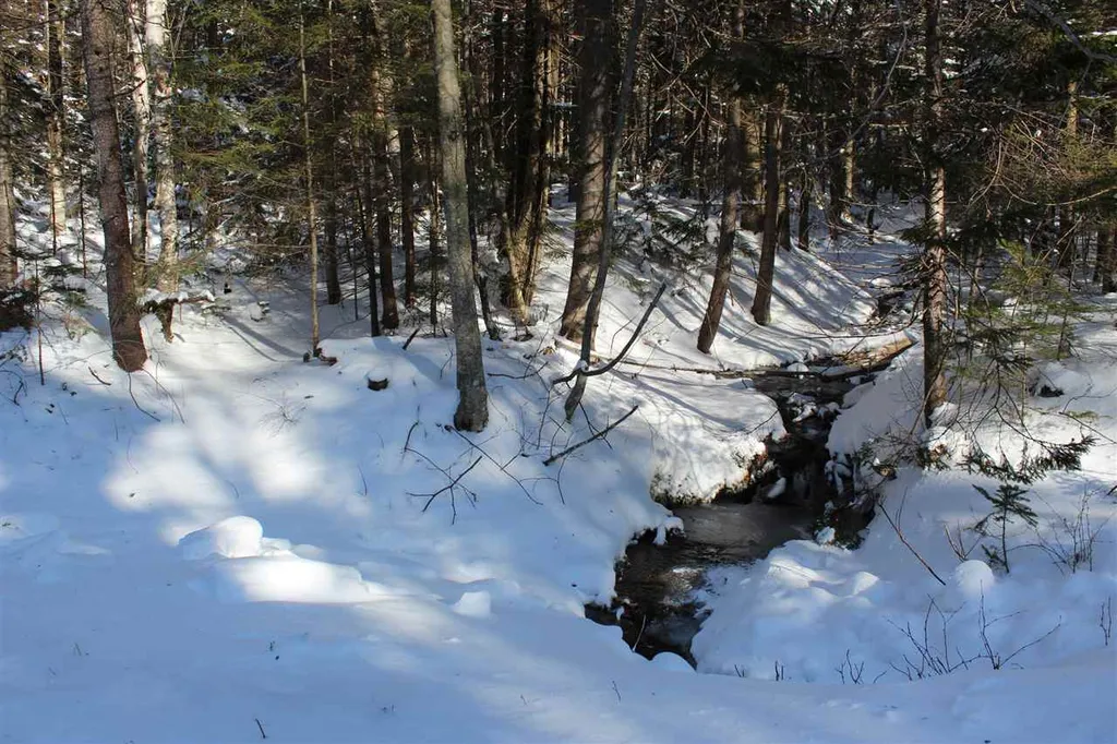 360 Dorman Road Andover VT 05143