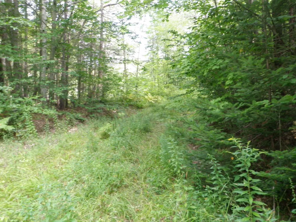 360 Dorman Road Andover VT 05143