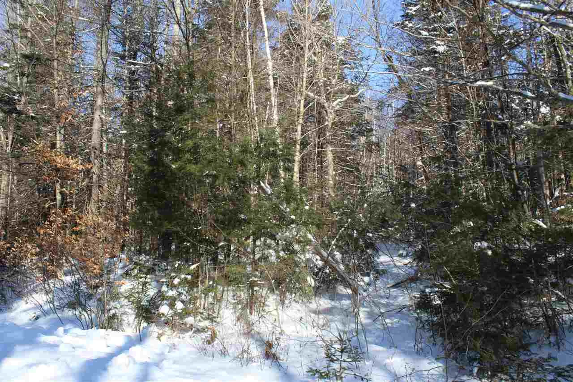 360 Dorman Road Andover VT 05143