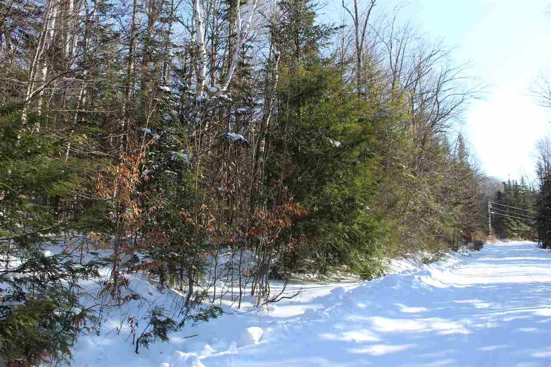 360 Dorman Road Andover VT 05143