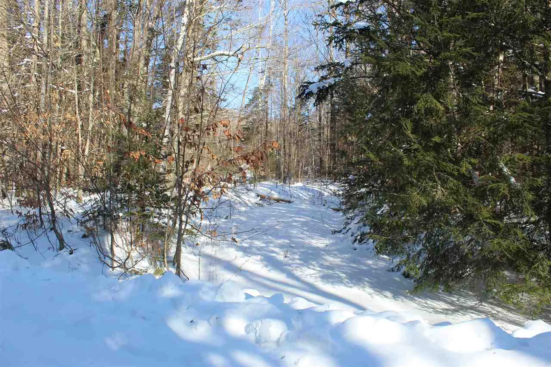 360 Dorman Road Andover VT 05143