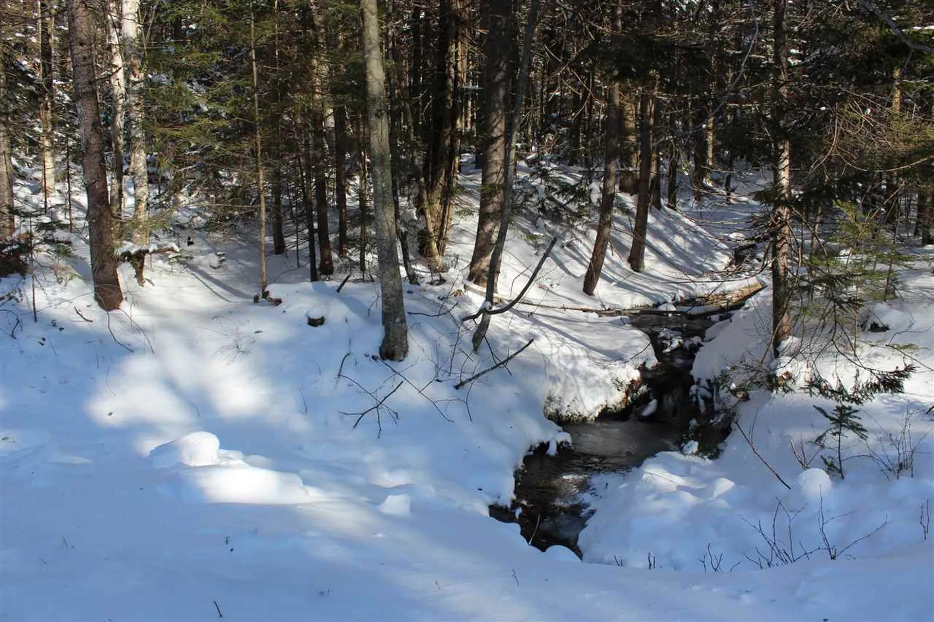 360 Dorman Road Andover VT 05143