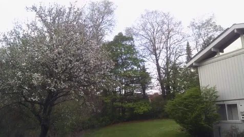 53 Mace Hill Road Hartland VT 05048