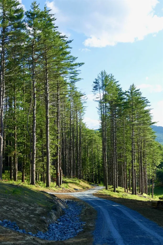 1 Carlton Hill Road Woodstock VT 05091