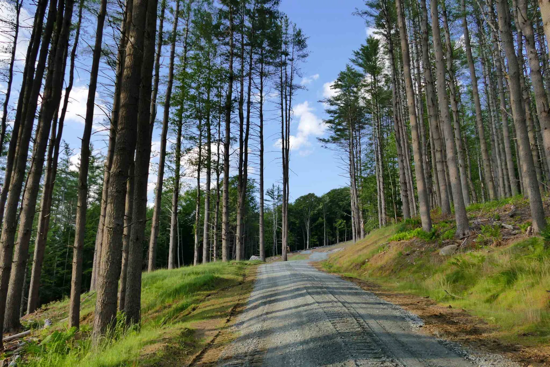 1 Carlton Hill Road Woodstock VT 05091