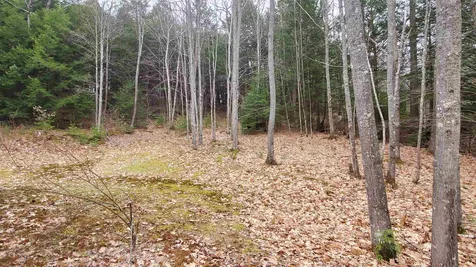 15 Adams Road Enfield NH 03748