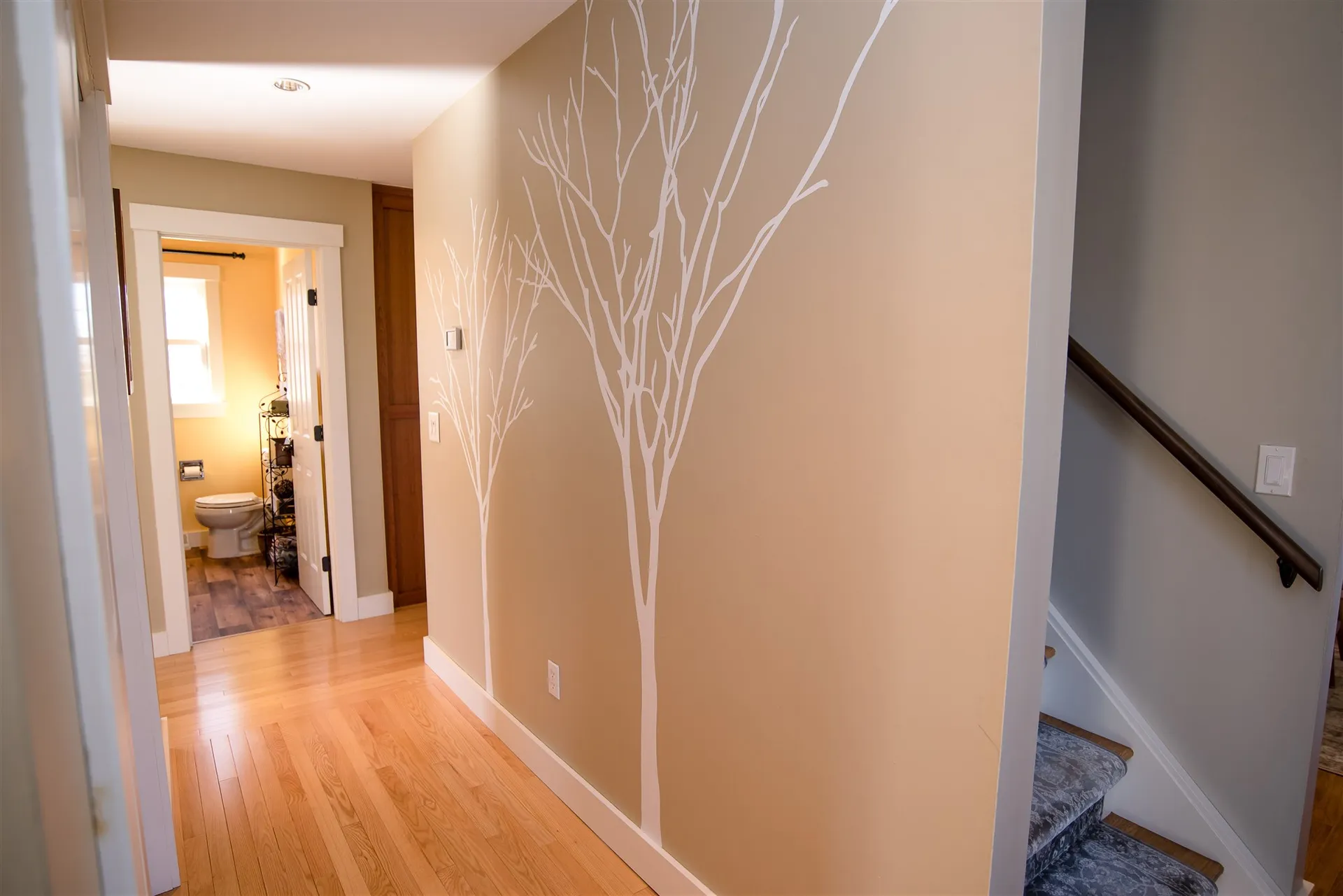 5076 Spear Street Shelburne VT 05482
