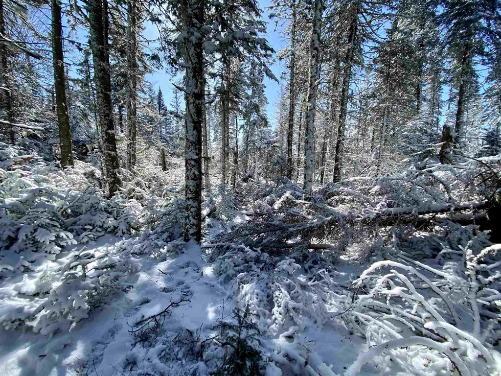 17 Quimby Road Stewartstown NH 03576