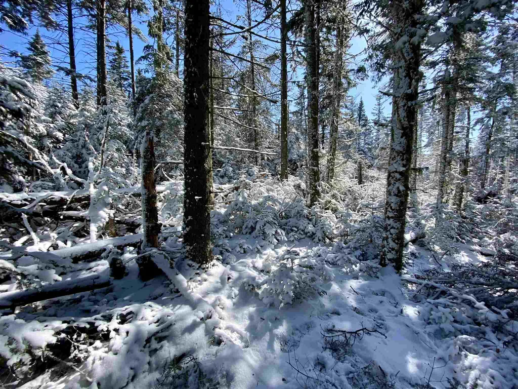 17 Quimby Road Stewartstown NH 03576