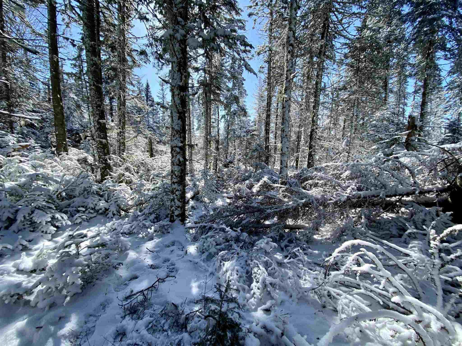 17 Quimby Road Stewartstown NH 03576