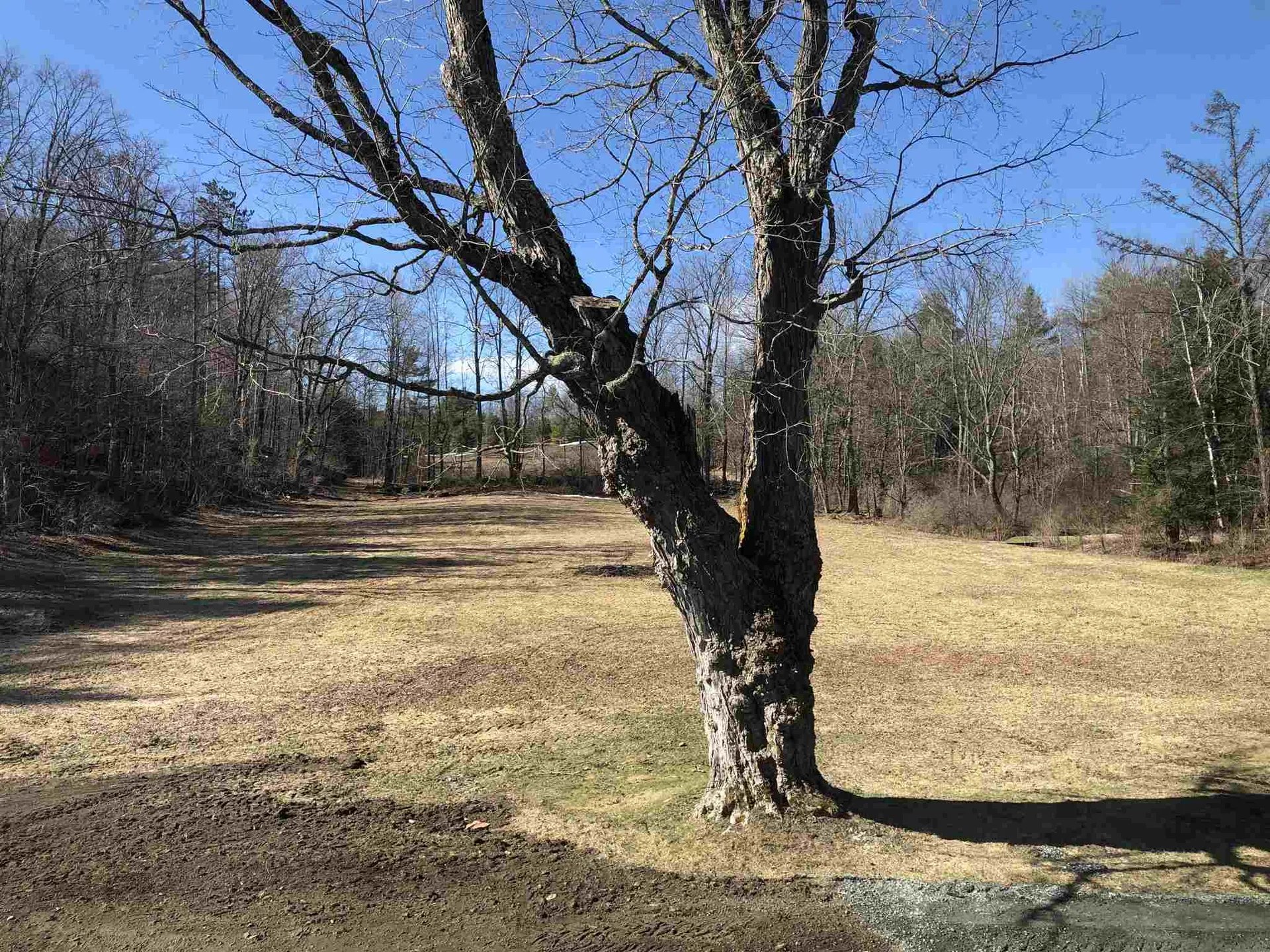 4587 South Road Woodstock VT 05071