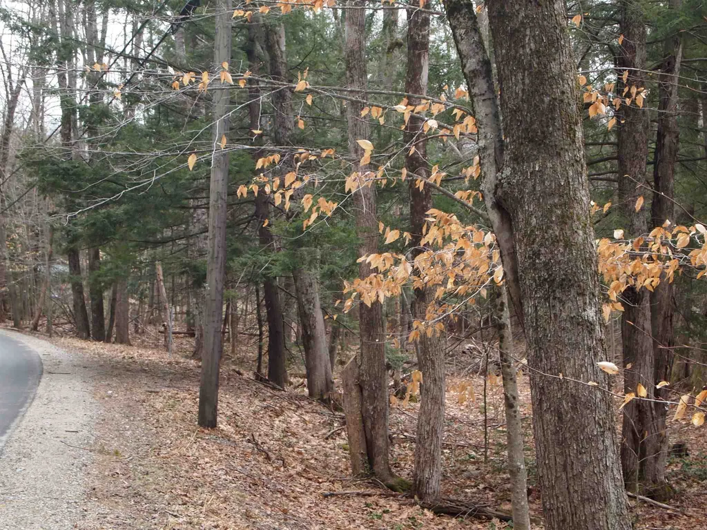 00 Bay Road Sanbornton NH 03269