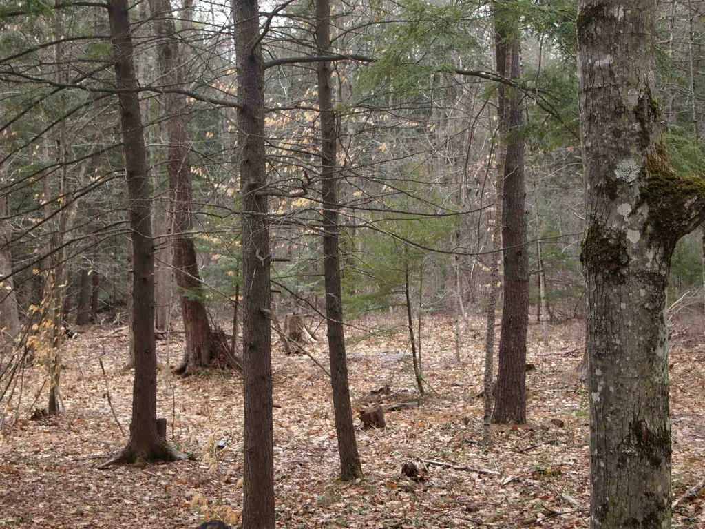 00 Bay Road Sanbornton NH 03269