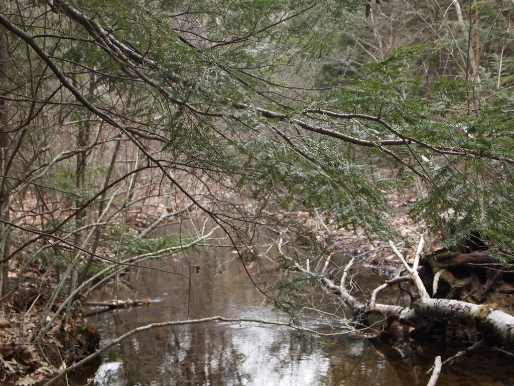 00 Bay Road Sanbornton NH 03269