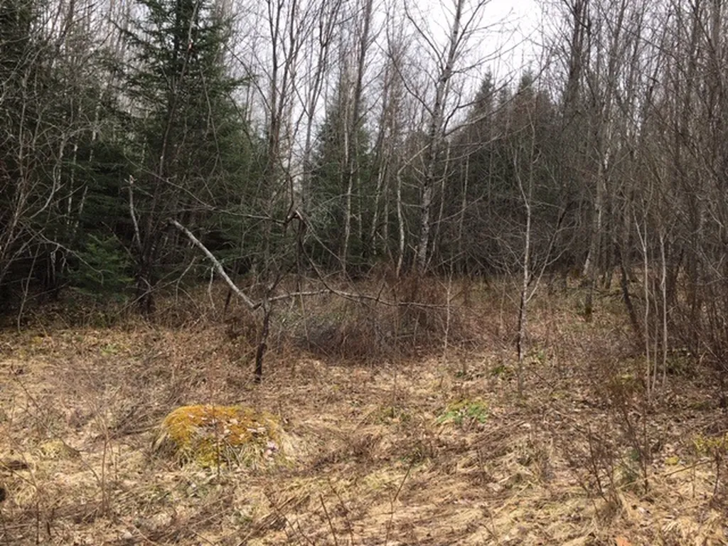 - Susan's Way Colebrook NH 03576