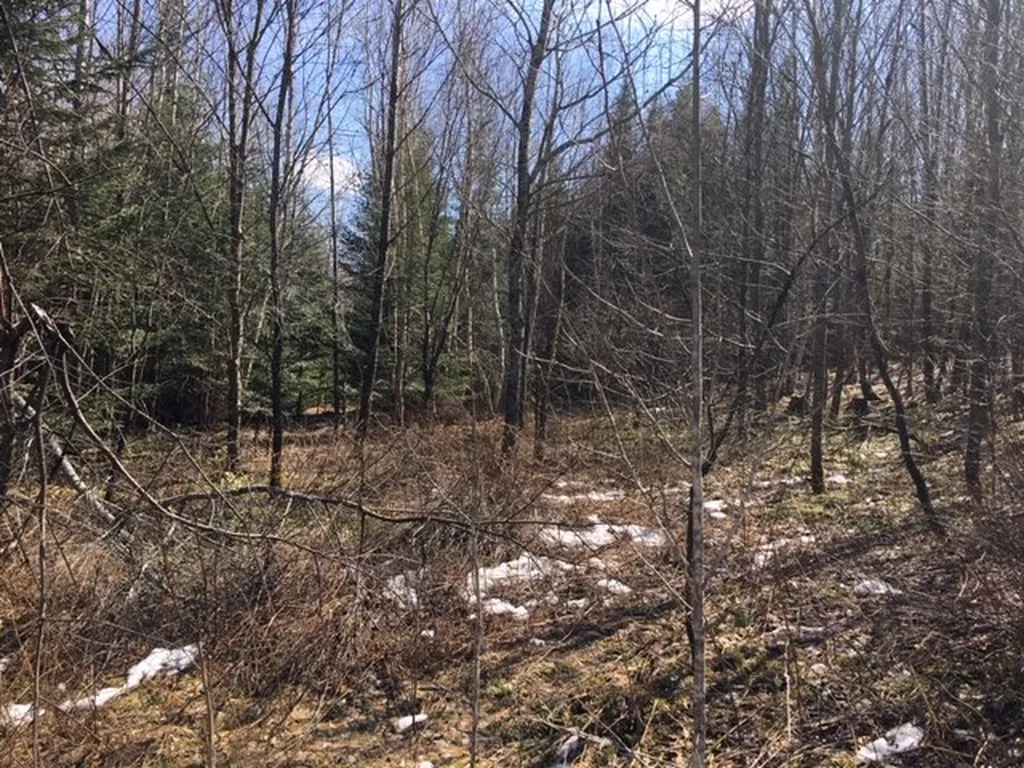 - Susan's Way Colebrook NH 03576