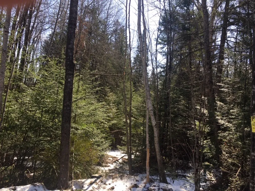 - Susan's Way Colebrook NH 03576