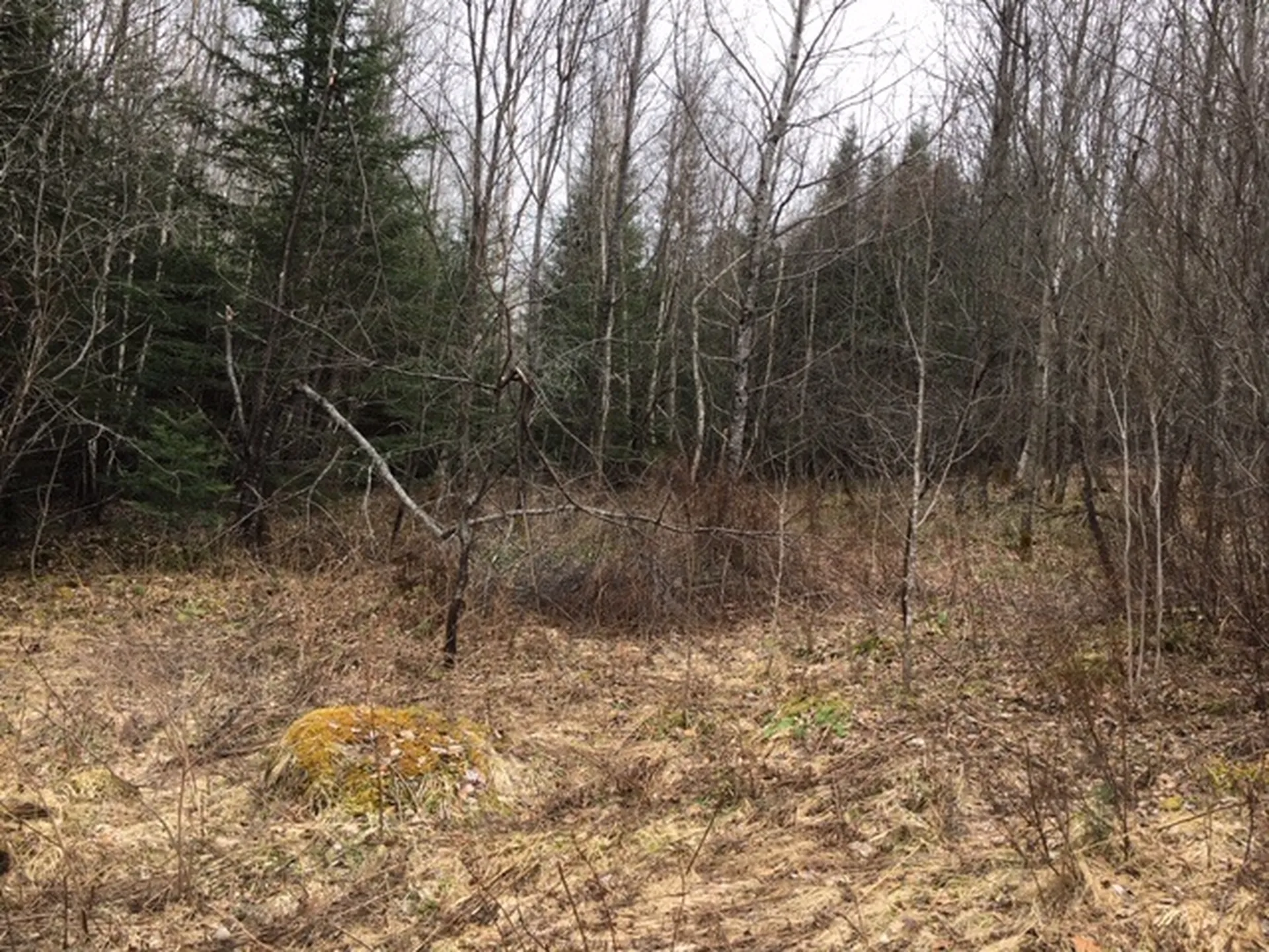 - Susan's Way Colebrook NH 03576