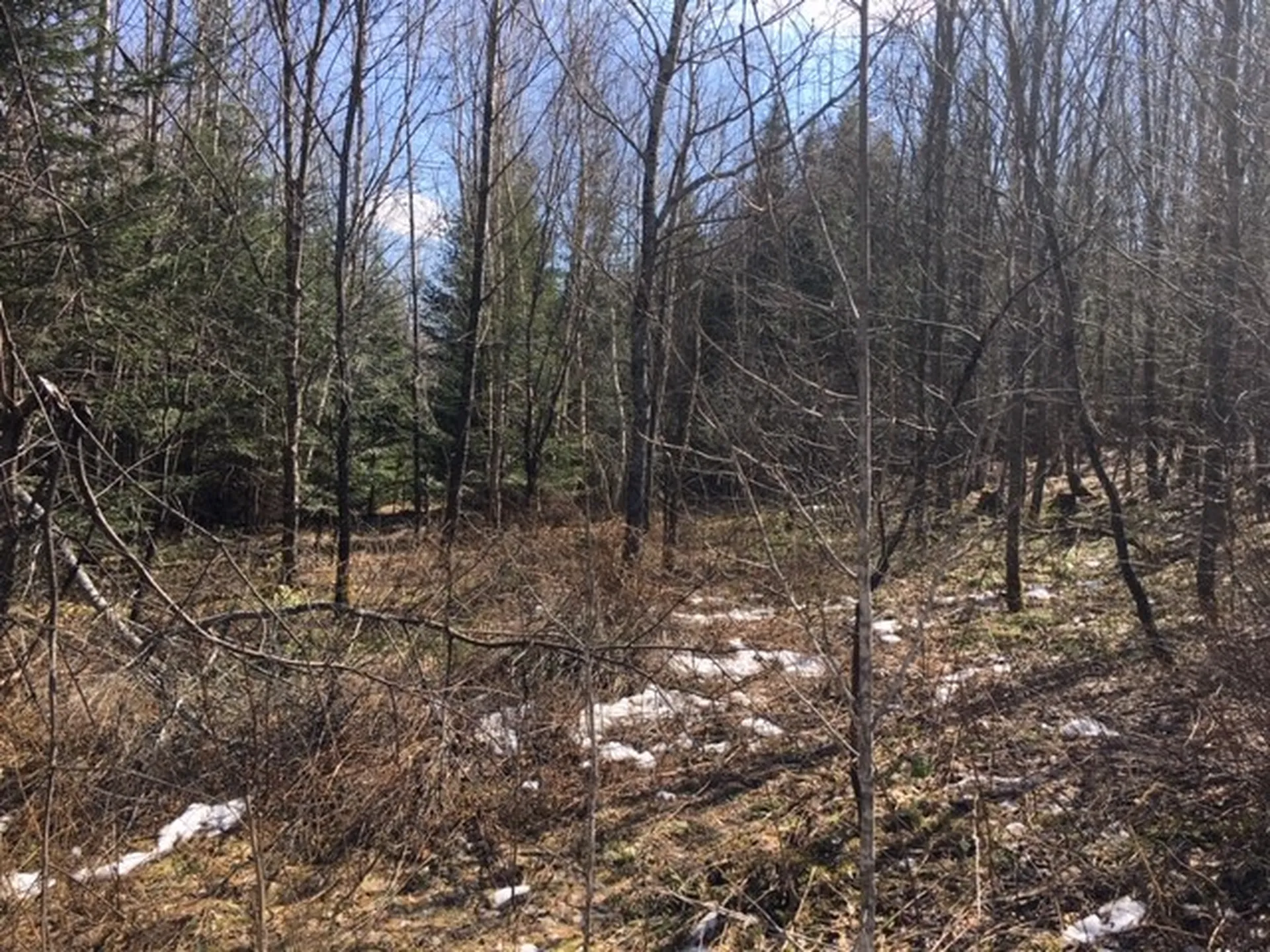 - Susan's Way Colebrook NH 03576