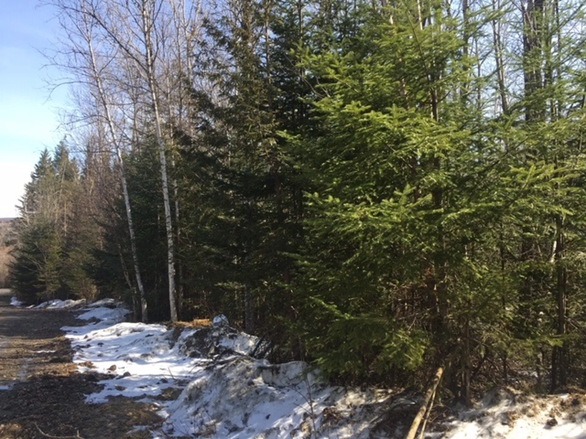 - Susan's Way Colebrook NH 03576