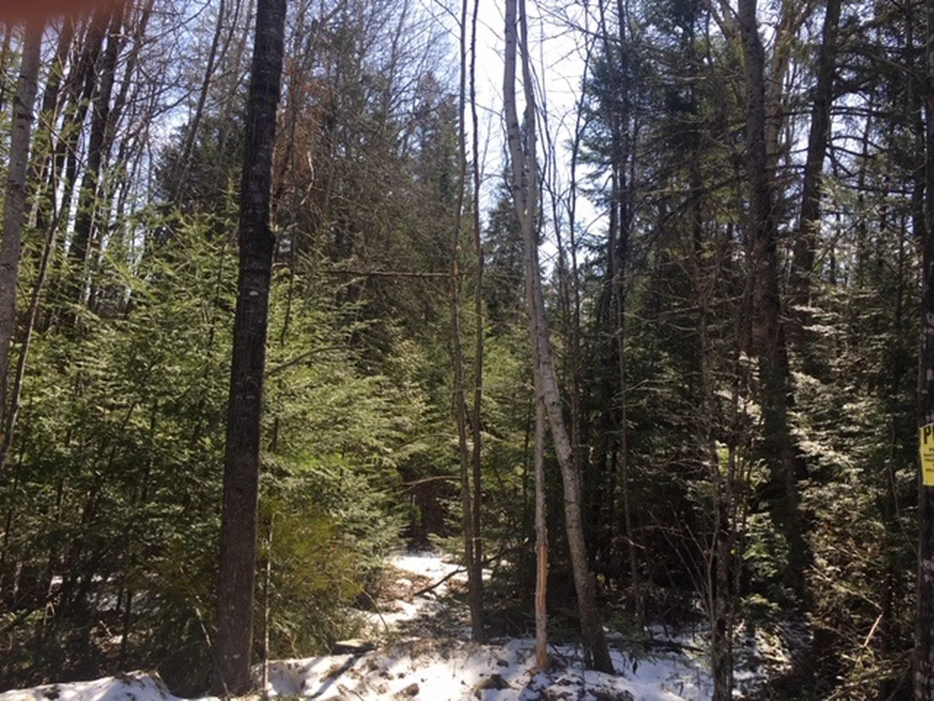- Susan's Way Colebrook NH 03576