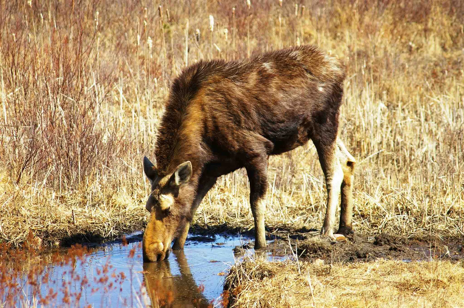 0 Point Of View Drive Franconia NH 03580