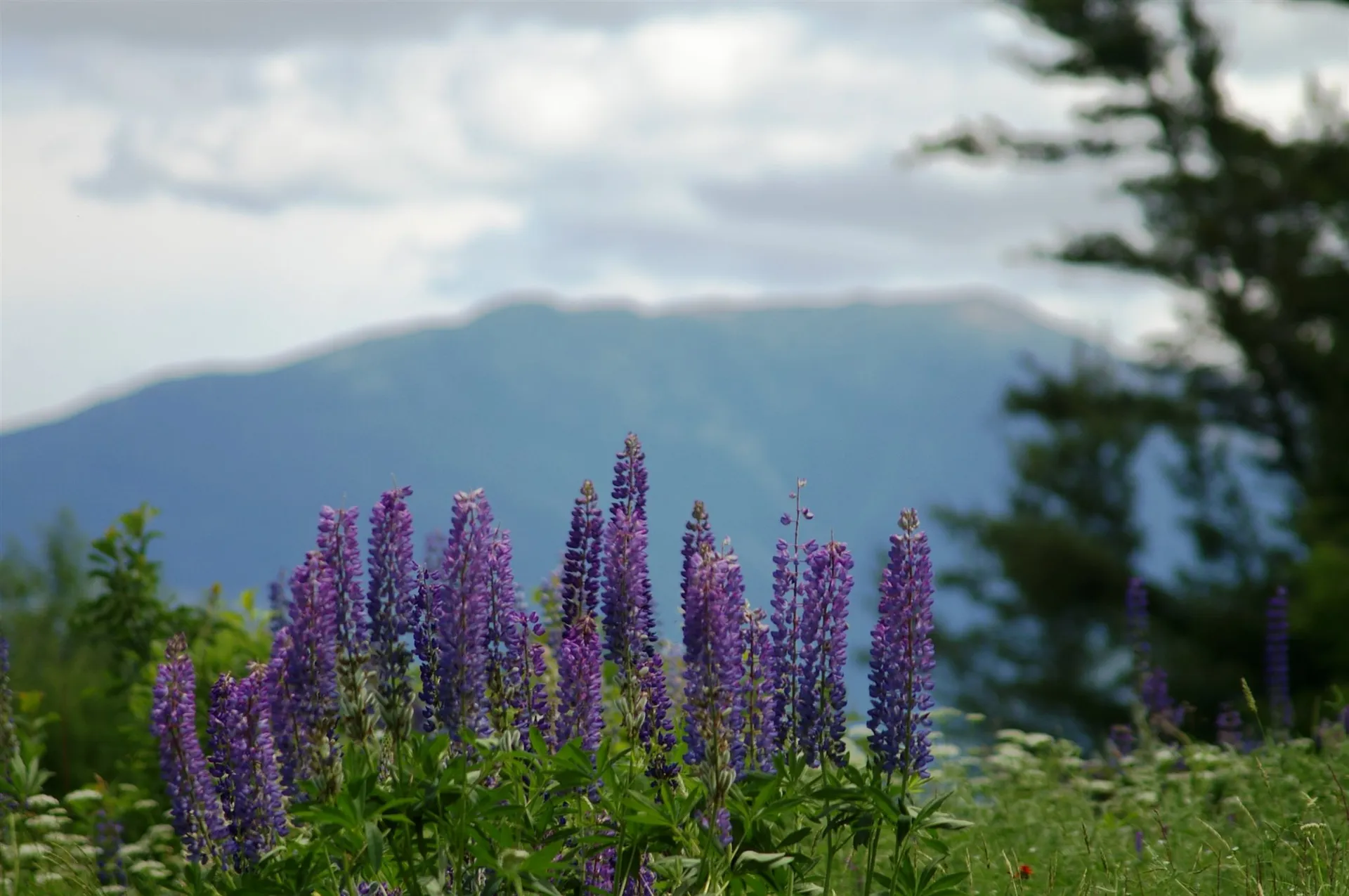 0 Point Of View Drive Franconia NH 03580